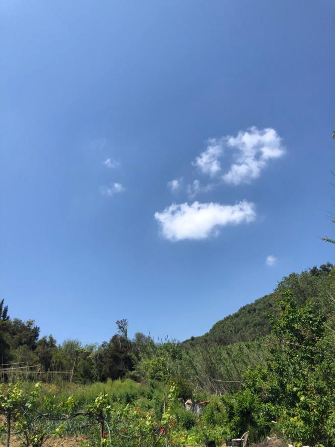 Vasiliki Appartement
